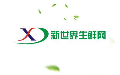 电商网站成功案例：新世界生鲜网